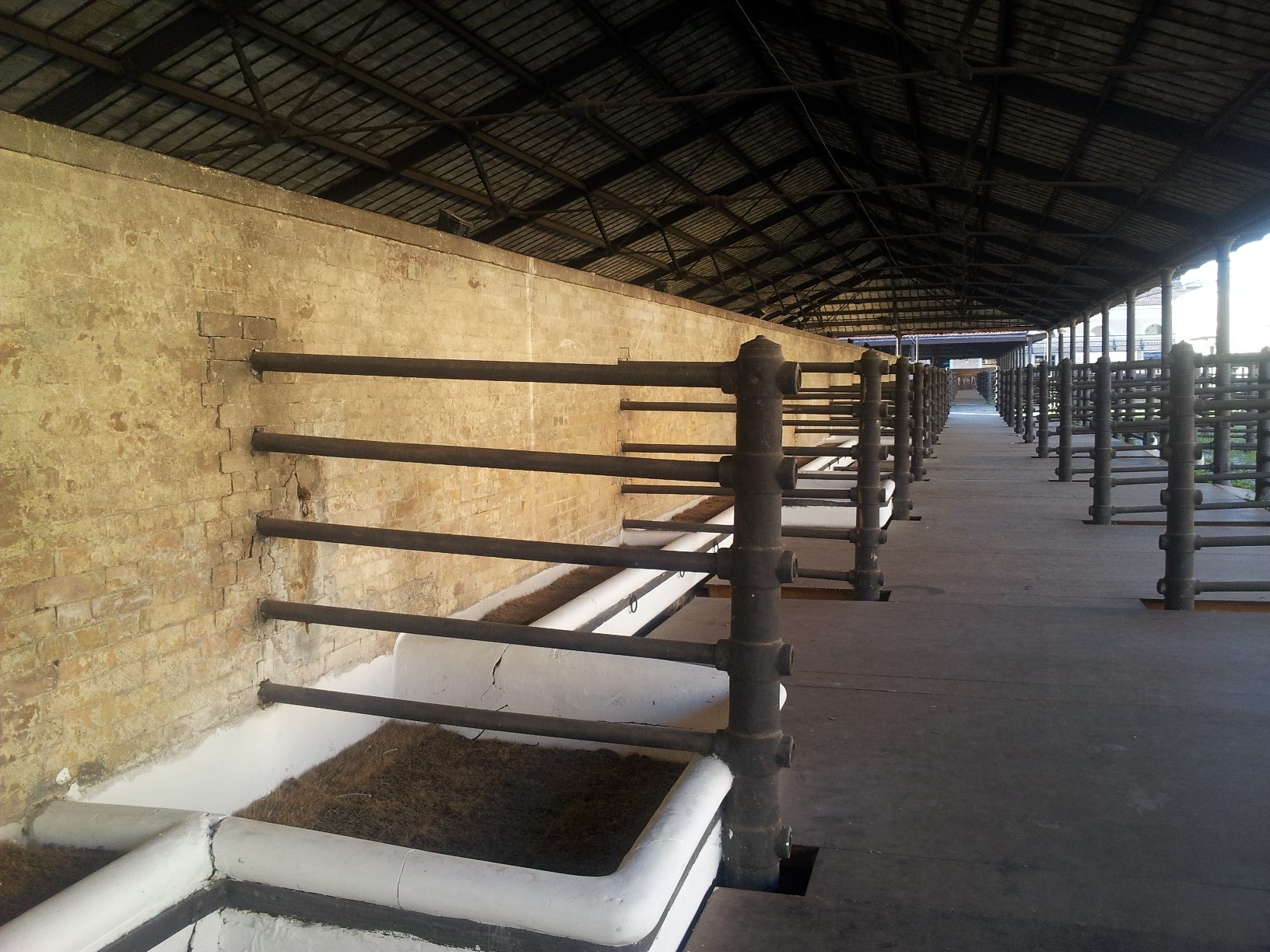 Old Rome S Slaughterhouse